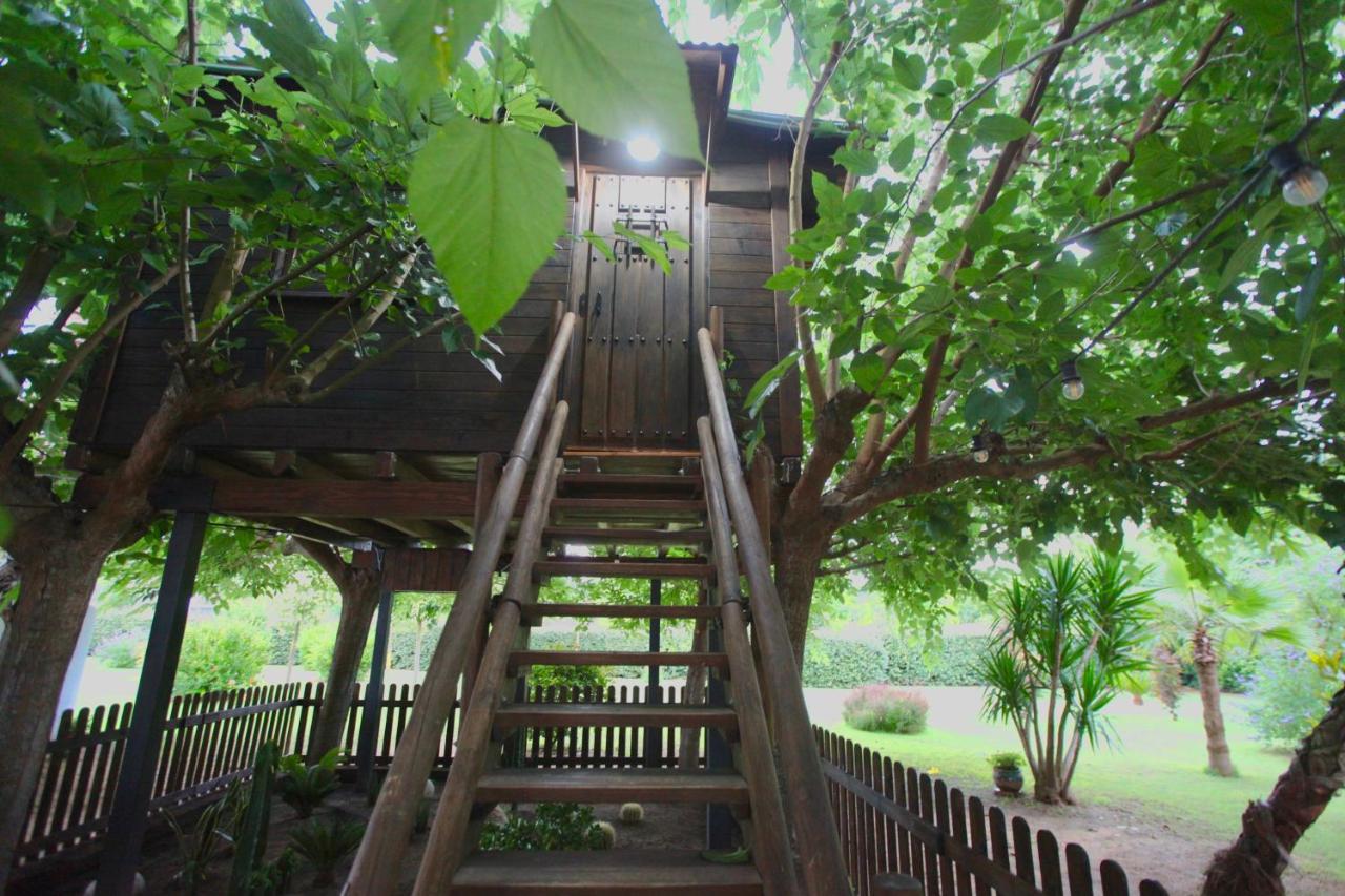 Гостевой дом Naturetreehouse Casa Sobre Los Arboles Бланес Экстерьер фото