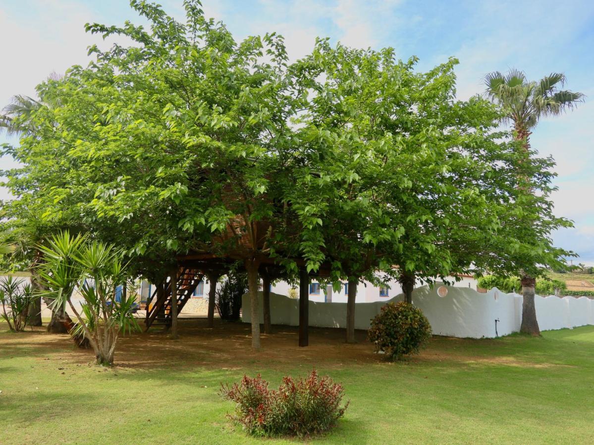 Гостевой дом Naturetreehouse Casa Sobre Los Arboles Бланес Экстерьер фото